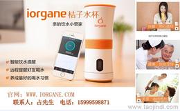 個人護理電器市場概覽 其他個人護理電器的價格、廠家與批發渠道